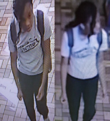 Circle K Pipkin theft 