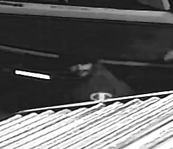 Eagle Lake business burglary