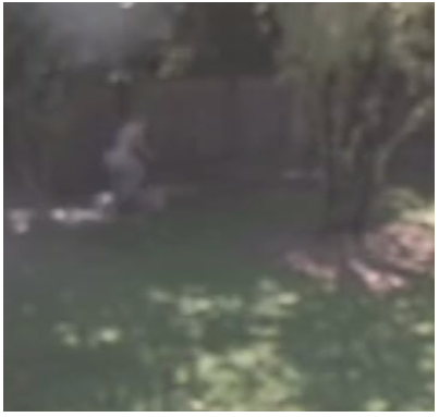 Marathon petit theft