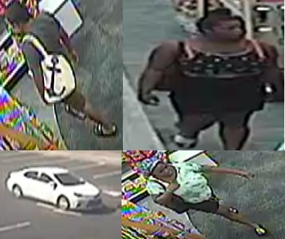 North Lakeland retail theft